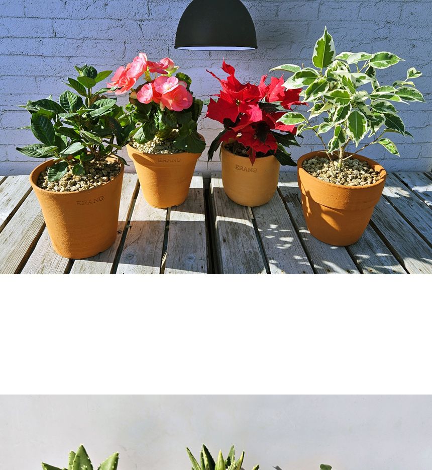 이랑국내산 수제 토분 B11- 수공예 공기정화식물화분/화분/토분/빈티지화분/빈티지토분/식물화분/꽃화분/모