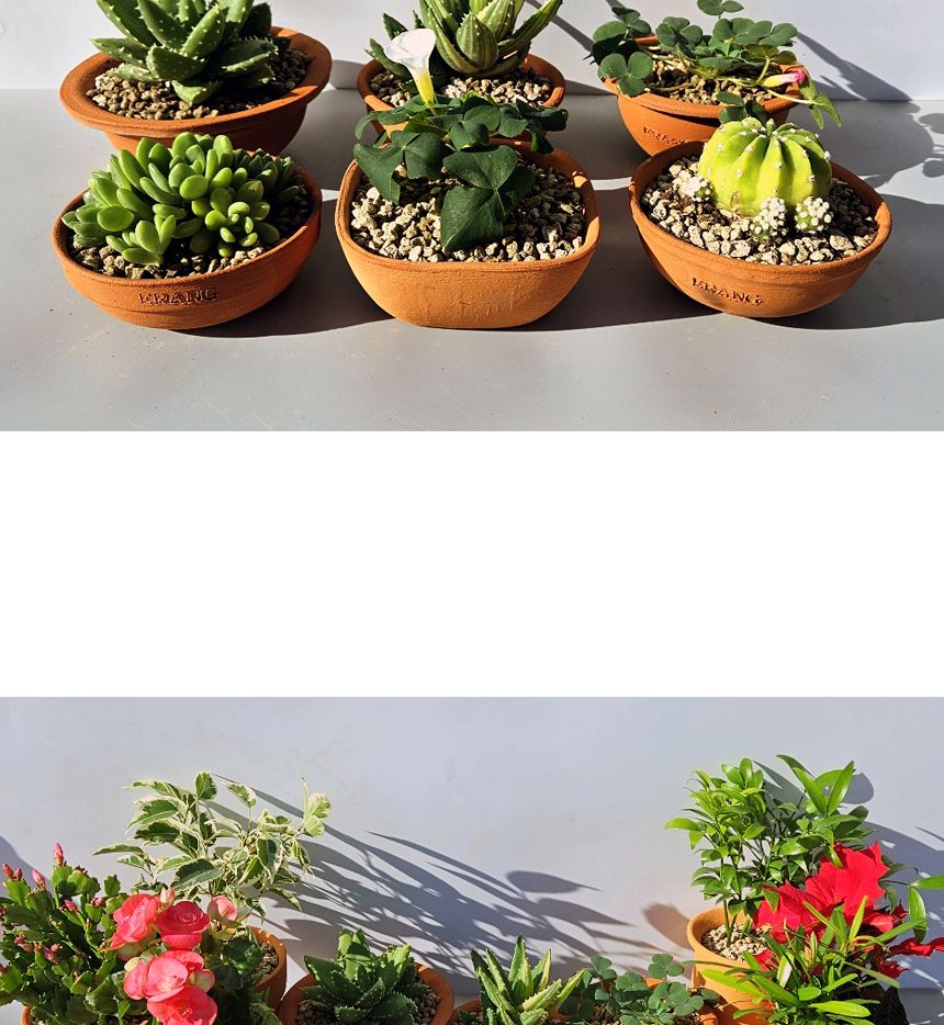 이랑국내산 수제 토분 B11- 수공예 공기정화식물화분/화분/토분/빈티지화분/빈티지토분/식물화분/꽃화분/모