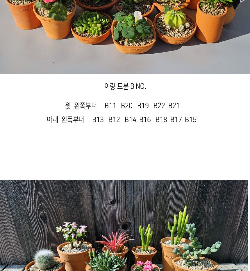 이랑국내산 수제 토분 B11- 수공예 공기정화식물화분/화분/토분/빈티지화분/빈티지토분/식물화분/꽃화분/모