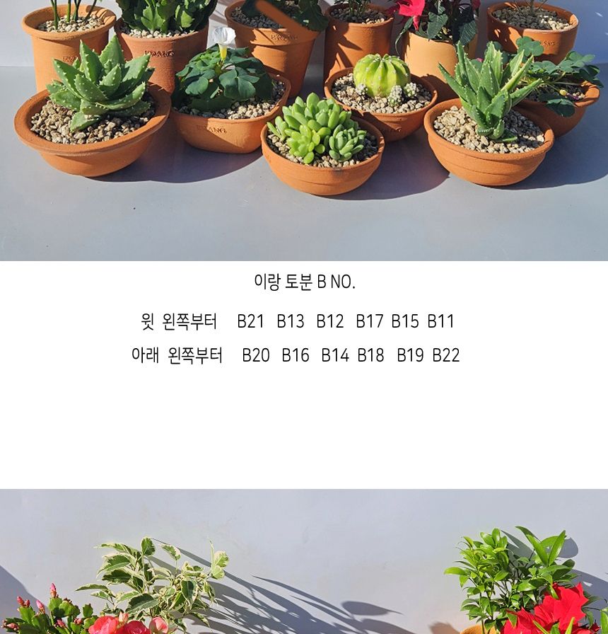 이랑 국내산 수제 B13토분과 토분받침세트 - 환경친화/화분/토분/빈티지화분/빈티지토분/식물화분/꽃화분/