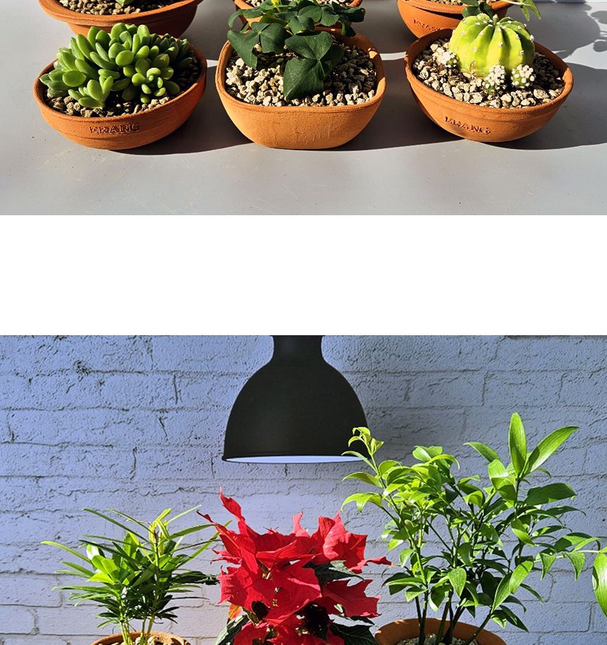 이랑국내산 수제 토분 B14- 수공예 공기정화식물화분/화분/토분/빈티지화분/빈티지토분/식물화분/꽃화분/모