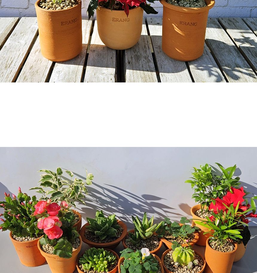 이랑국내산 수제 토분 B14- 수공예 공기정화식물화분/화분/토분/빈티지화분/빈티지토분/식물화분/꽃화분/모