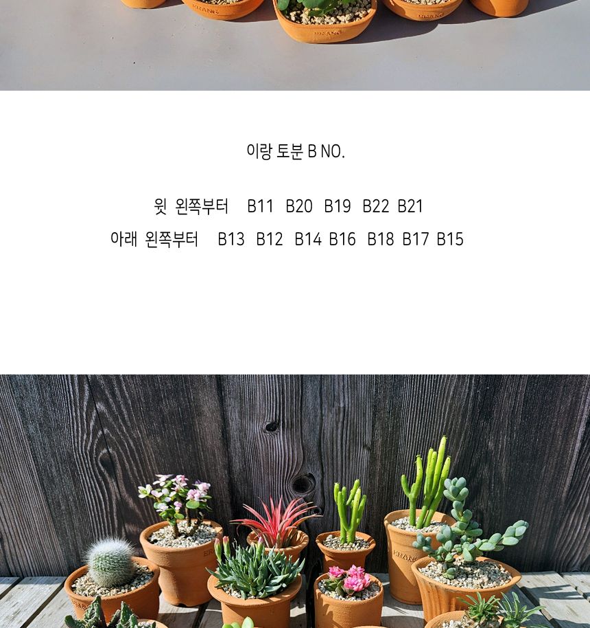 이랑국내산 수제 토분 B14- 수공예 공기정화식물화분/화분/토분/빈티지화분/빈티지토분/식물화분/꽃화분/모