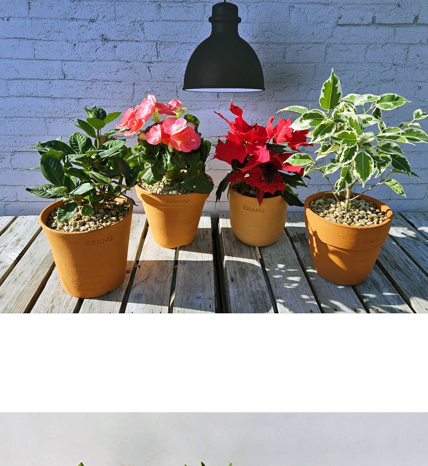 이랑국내산 수제 토분 B15- 수공예 공기정화식물화분/화분/토분/빈티지화분/빈티지토분/식물화분/꽃화분/모