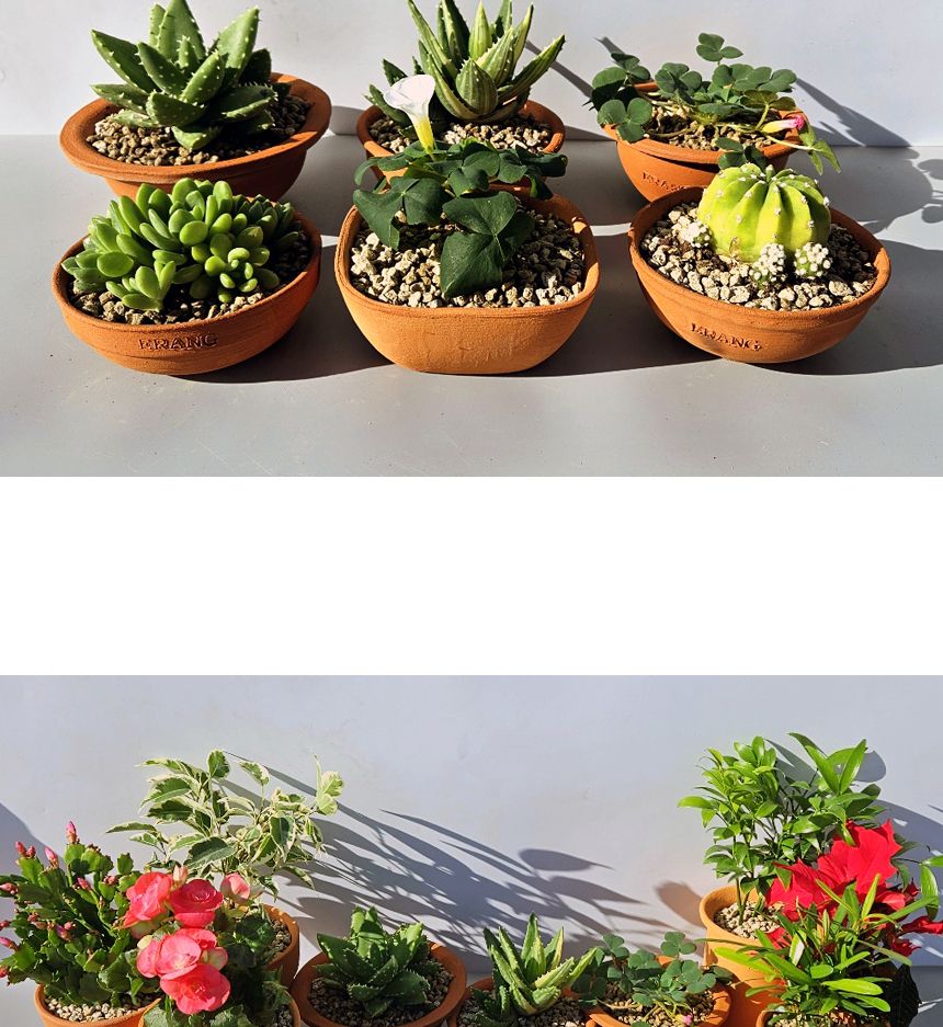 이랑국내산 수제 토분 B15- 수공예 공기정화식물화분/화분/토분/빈티지화분/빈티지토분/식물화분/꽃화분/모