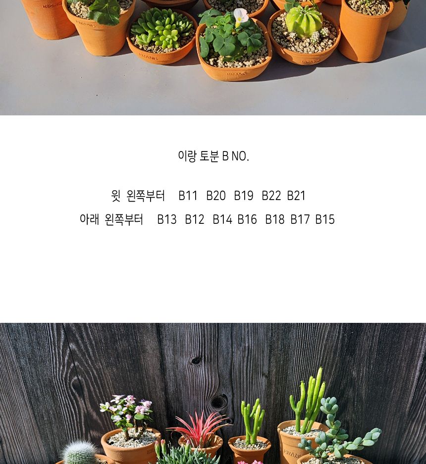 이랑국내산 수제 토분 B15- 수공예 공기정화식물화분/화분/토분/빈티지화분/빈티지토분/식물화분/꽃화분/모