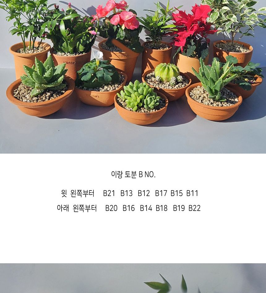 이랑 국내산 수제 B14토분과 토분받침세트 - 수공예/화분/토분/빈티지화분/빈티지토분/식물화분/꽃화분/모