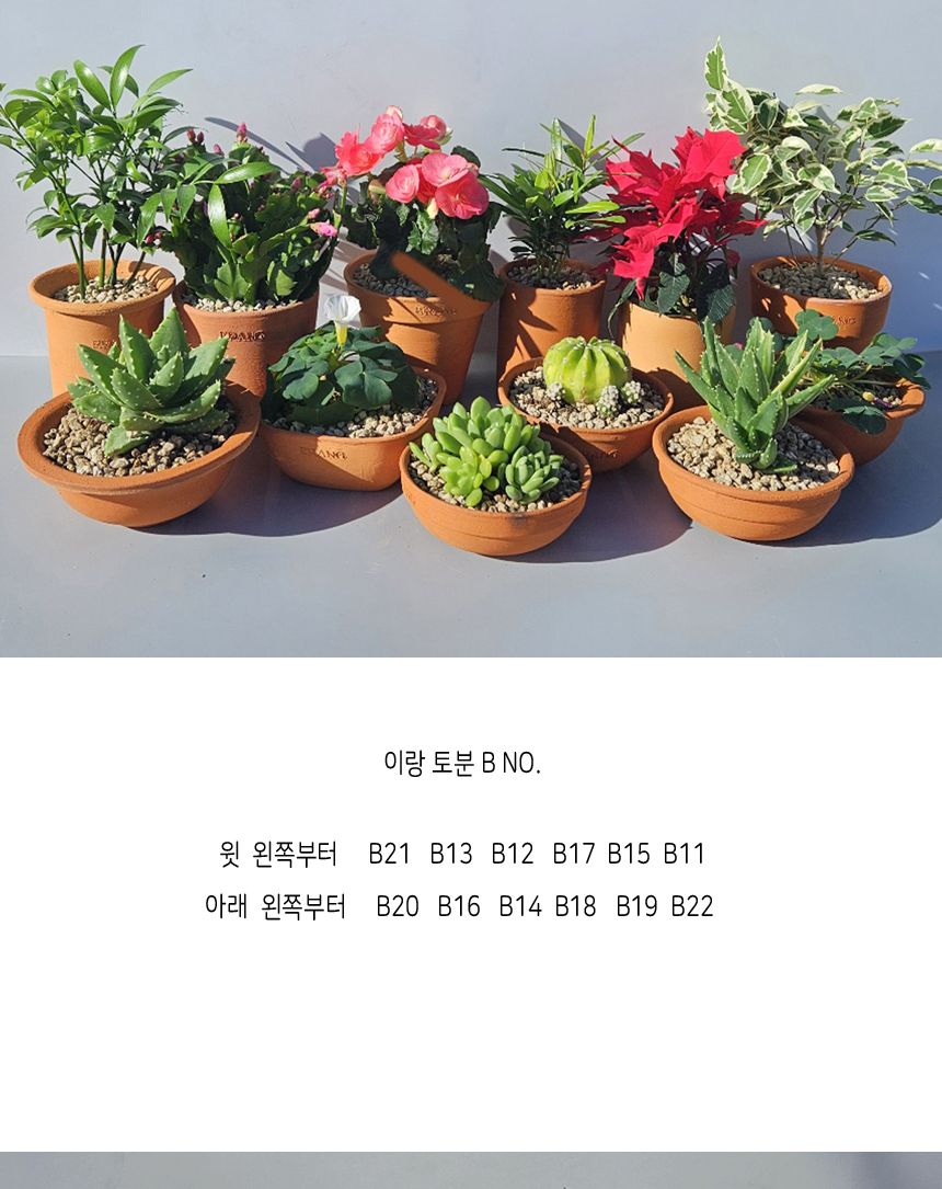 이랑 국내산 수제 B16토분과 토분받침세트 - 수공예/화분/토분/빈티지화분/빈티지토분/식물화분/꽃화분/모