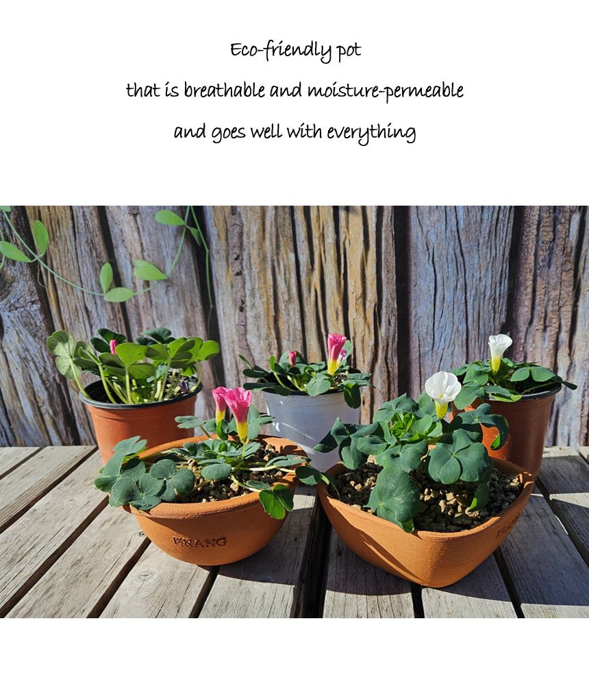 이랑국내산 수제 토분 B16- 수공예 공기정화식물화분/화분/토분/빈티지화분/빈티지토분/식물화분/꽃화분/모