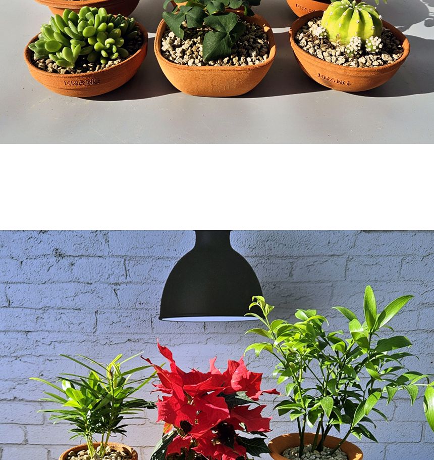 이랑국내산 수제 토분 B16- 수공예 공기정화식물화분/화분/토분/빈티지화분/빈티지토분/식물화분/꽃화분/모