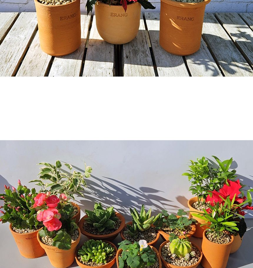 이랑국내산 수제 토분 B16- 수공예 공기정화식물화분/화분/토분/빈티지화분/빈티지토분/식물화분/꽃화분/모