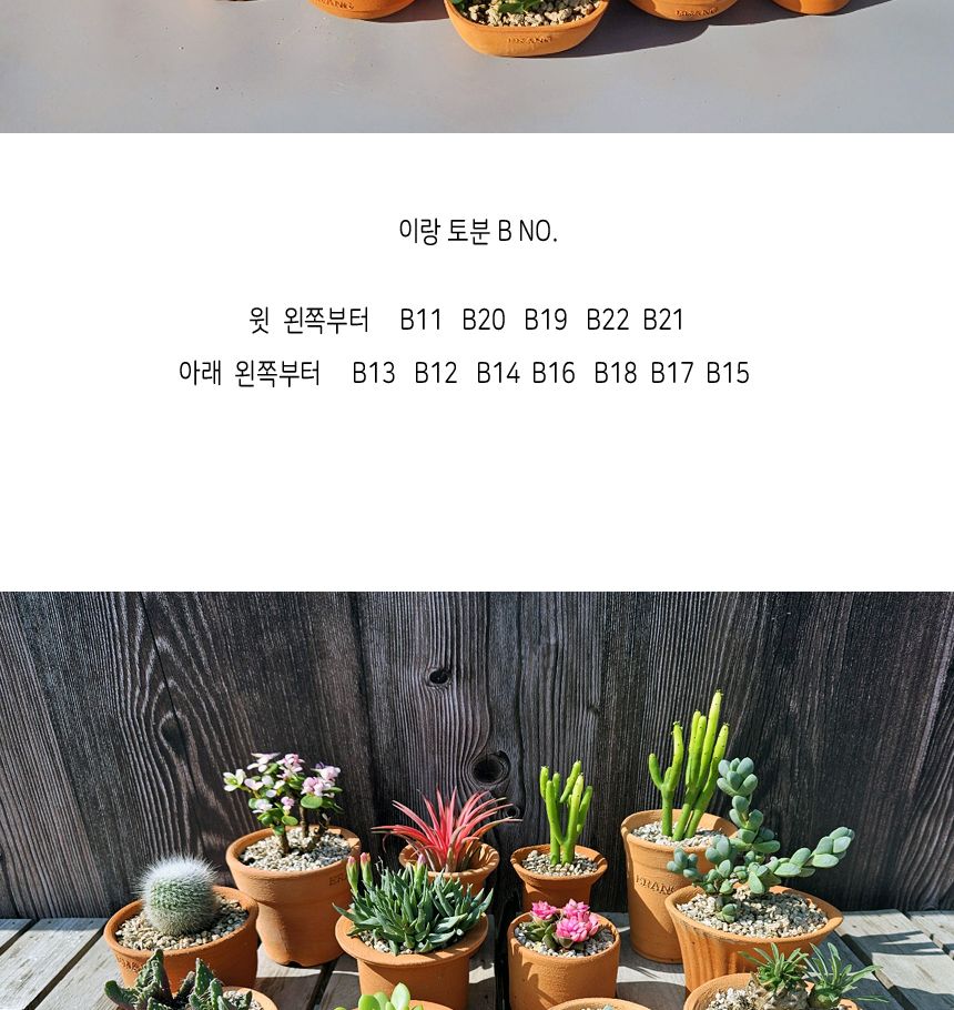 이랑국내산 수제 토분 B16- 수공예 공기정화식물화분/화분/토분/빈티지화분/빈티지토분/식물화분/꽃화분/모