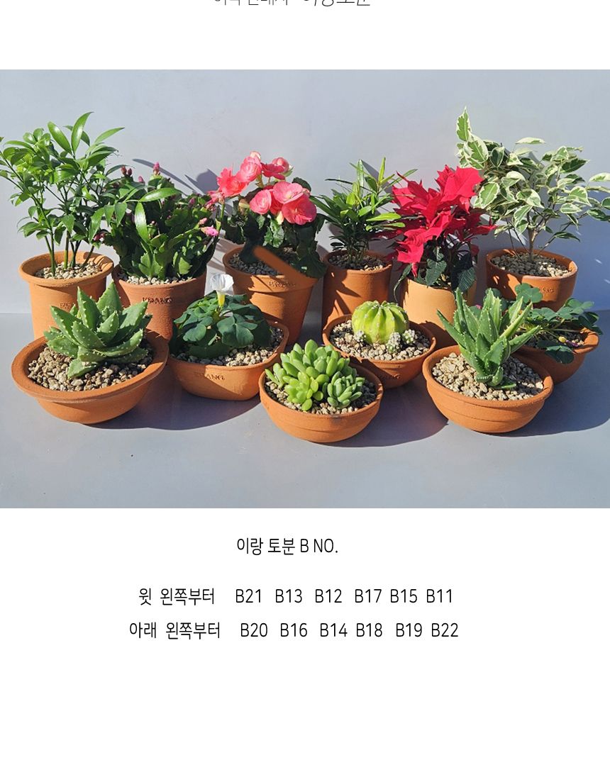 이랑 국내산 수제 B15토분과 토분받침세트 - 수공예/화분/토분/빈티지화분/빈티지토분/식물화분/꽃화분/모