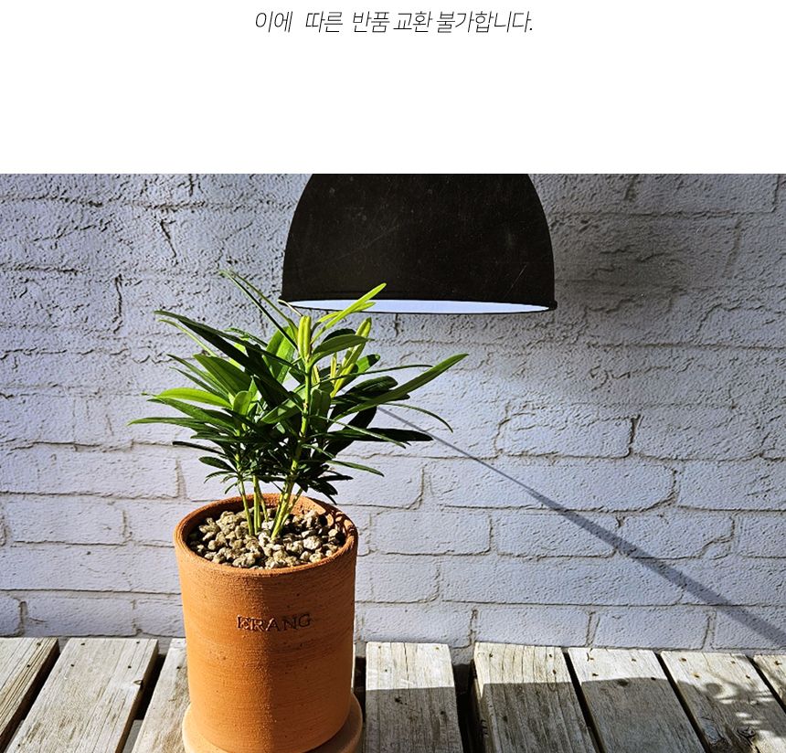 이랑국내산 수제 토분 B17- 수공예 공기정화식물화분/화분/토분/빈티지화분/빈티지토분/식물화분/꽃화분/모