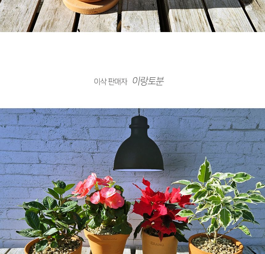 이랑국내산 수제 토분 B17- 수공예 공기정화식물화분/화분/토분/빈티지화분/빈티지토분/식물화분/꽃화분/모