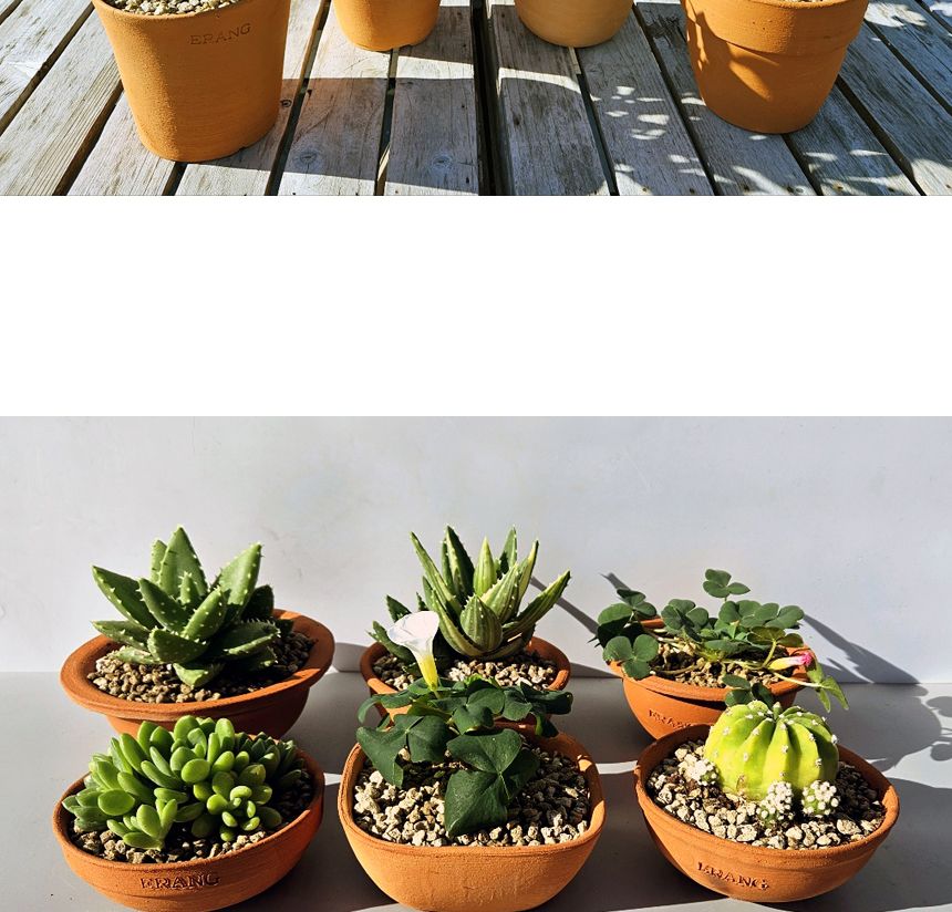 이랑국내산 수제 토분 B17- 수공예 공기정화식물화분/화분/토분/빈티지화분/빈티지토분/식물화분/꽃화분/모