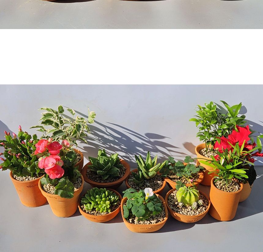 이랑국내산 수제 토분 B17- 수공예 공기정화식물화분/화분/토분/빈티지화분/빈티지토분/식물화분/꽃화분/모