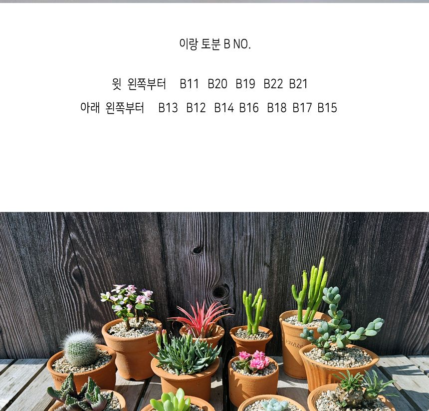 이랑국내산 수제 토분 B17- 수공예 공기정화식물화분/화분/토분/빈티지화분/빈티지토분/식물화분/꽃화분/모