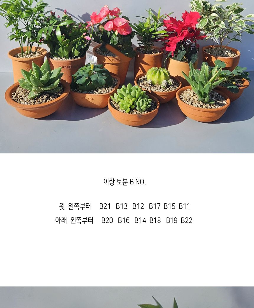 이랑 국내산 수제 B18토분과 토분받침세트 - 수공예/화분/토분/빈티지화분/빈티지토분/식물화분/꽃화분/모