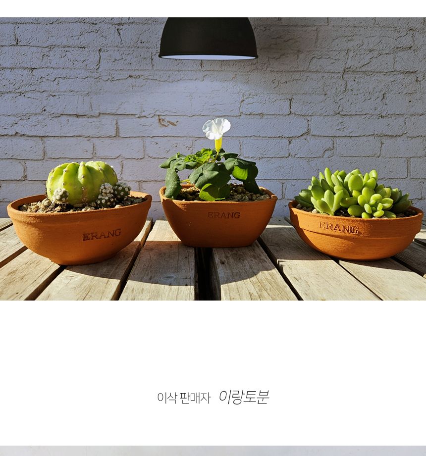 이랑국내산 수제 토분 B18- 수공예 공기정화식물화분/화분/토분/빈티지화분/빈티지토분/식물화분/꽃화분/모