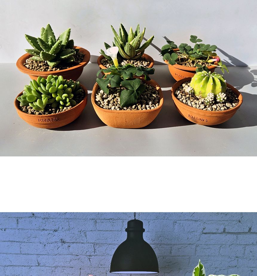 이랑국내산 수제 토분 B18- 수공예 공기정화식물화분/화분/토분/빈티지화분/빈티지토분/식물화분/꽃화분/모