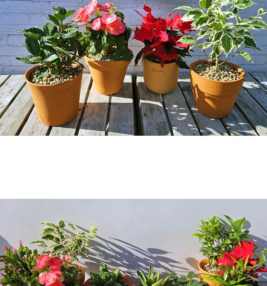 이랑국내산 수제 토분 B18- 수공예 공기정화식물화분/화분/토분/빈티지화분/빈티지토분/식물화분/꽃화분/모