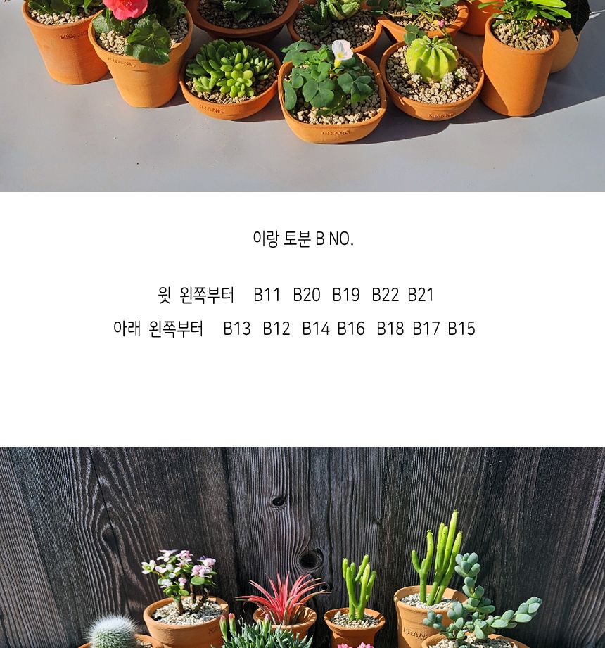 이랑국내산 수제 토분 B18- 수공예 공기정화식물화분/화분/토분/빈티지화분/빈티지토분/식물화분/꽃화분/모