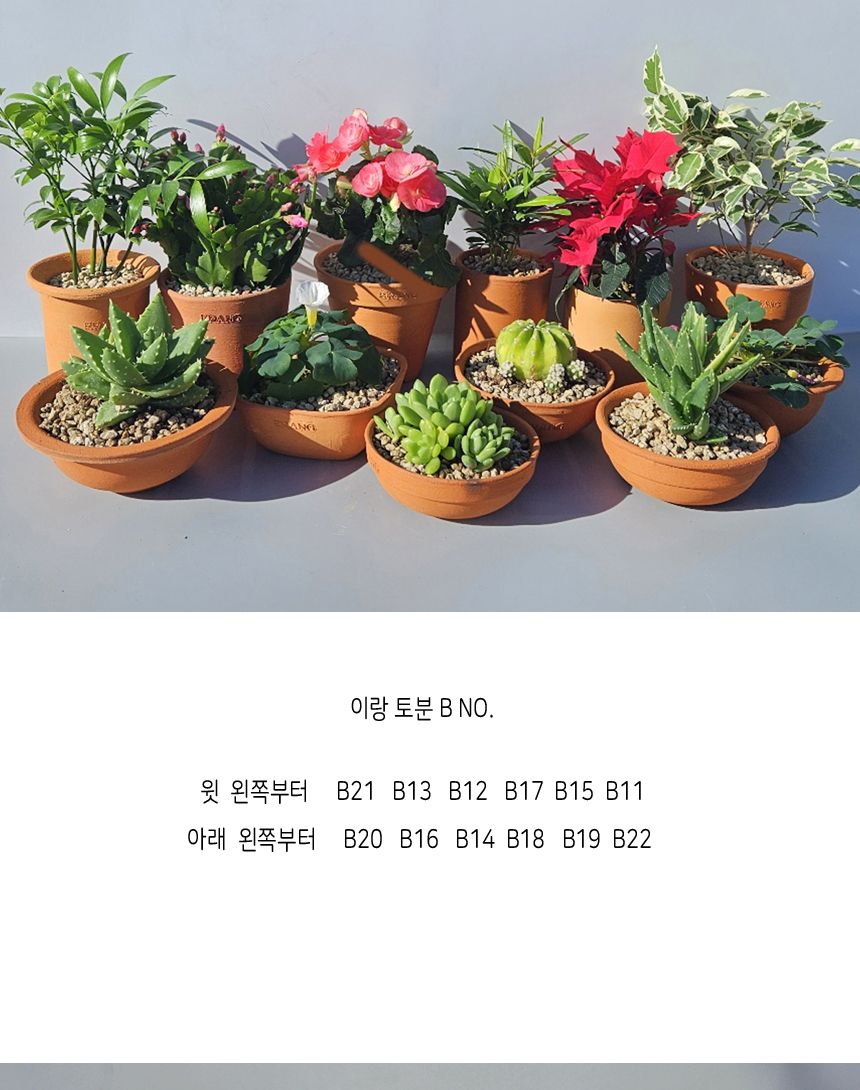 이랑 국내산 수제 B17토분과 토분받침세트 - 수공예/화분/토분/빈티지화분/빈티지토분/식물화분/꽃화분/모