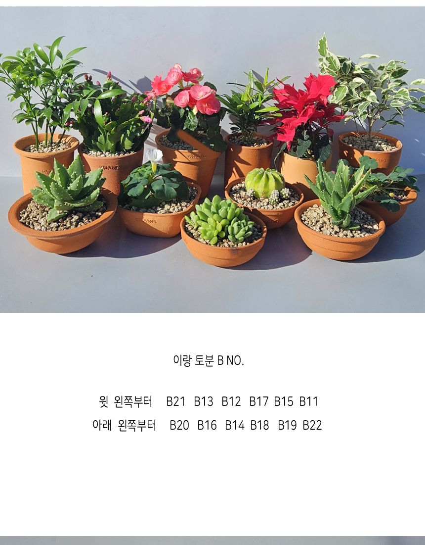 이랑 국내산 수제 B20토분과 토분받침세트 - 수공예/화분/토분/빈티지화분/빈티지토분/식물화분/꽃화분/베