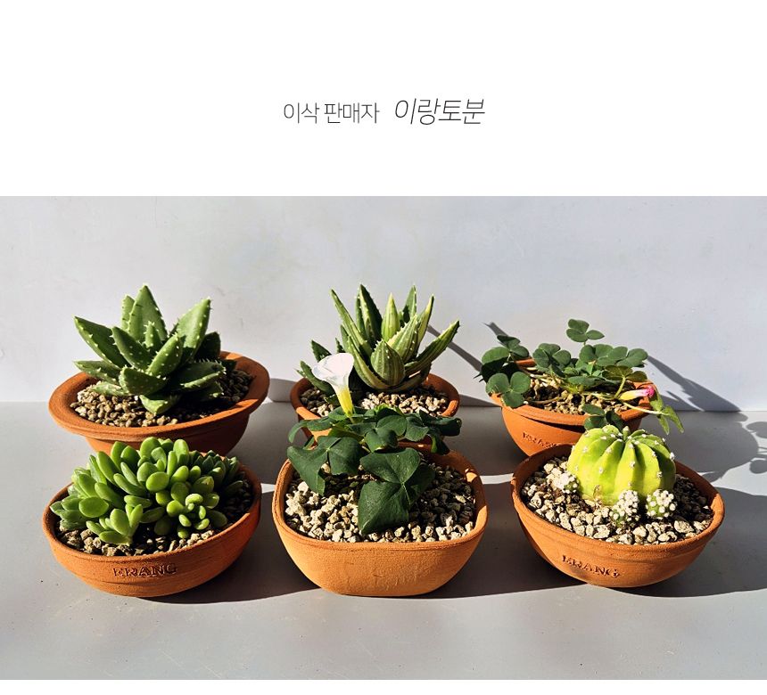 이랑국내산 수제 토분 B20- 수공예 공기정화식물화분/화분/토분/빈티지화분/빈티지토분/식물화분/꽃화분/베
