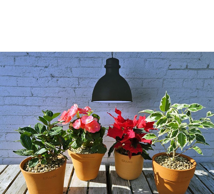 이랑국내산 수제 토분 B20- 수공예 공기정화식물화분/화분/토분/빈티지화분/빈티지토분/식물화분/꽃화분/베