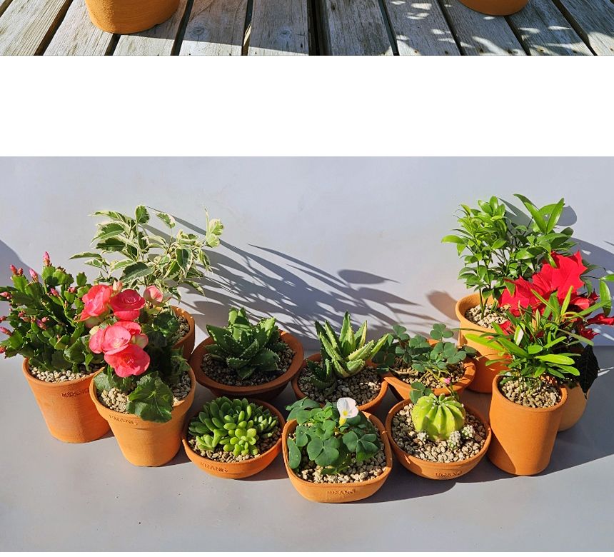 이랑국내산 수제 토분 B20- 수공예 공기정화식물화분/화분/토분/빈티지화분/빈티지토분/식물화분/꽃화분/베