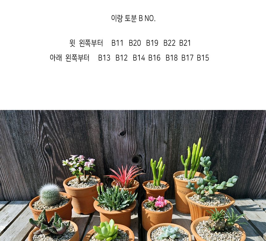 이랑국내산 수제 토분 B20- 수공예 공기정화식물화분/화분/토분/빈티지화분/빈티지토분/식물화분/꽃화분/베