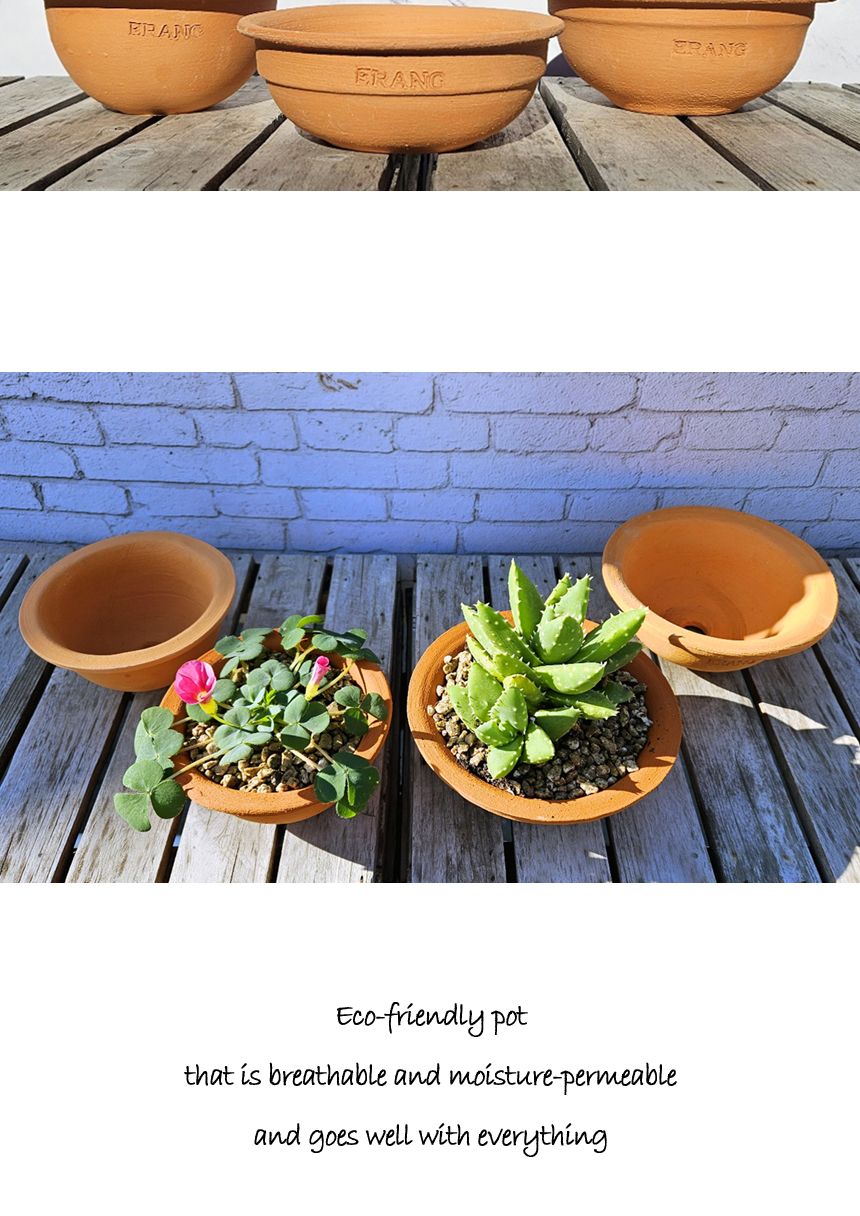 이랑국내산 수제 토분 B19- 수공예 공기정화식물화분/화분/토분/빈티지화분/빈티지토분/식물화분/꽃화분/베