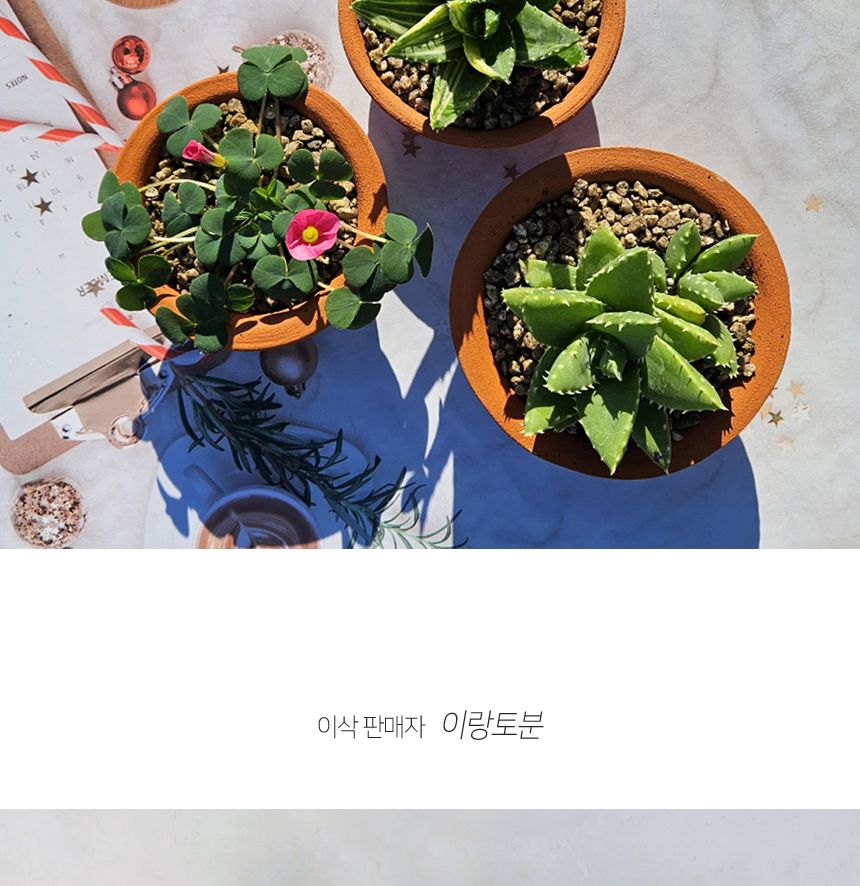 이랑국내산 수제 토분 B19- 수공예 공기정화식물화분/화분/토분/빈티지화분/빈티지토분/식물화분/꽃화분/베