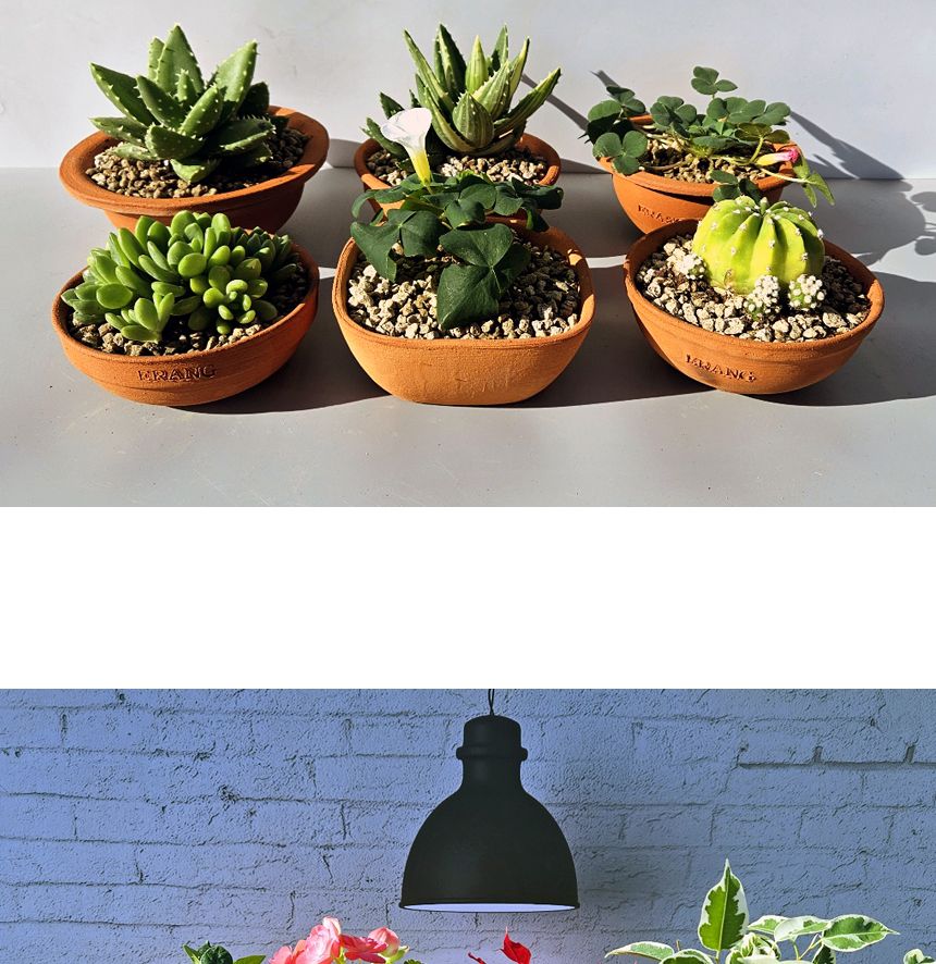 이랑국내산 수제 토분 B19- 수공예 공기정화식물화분/화분/토분/빈티지화분/빈티지토분/식물화분/꽃화분/베