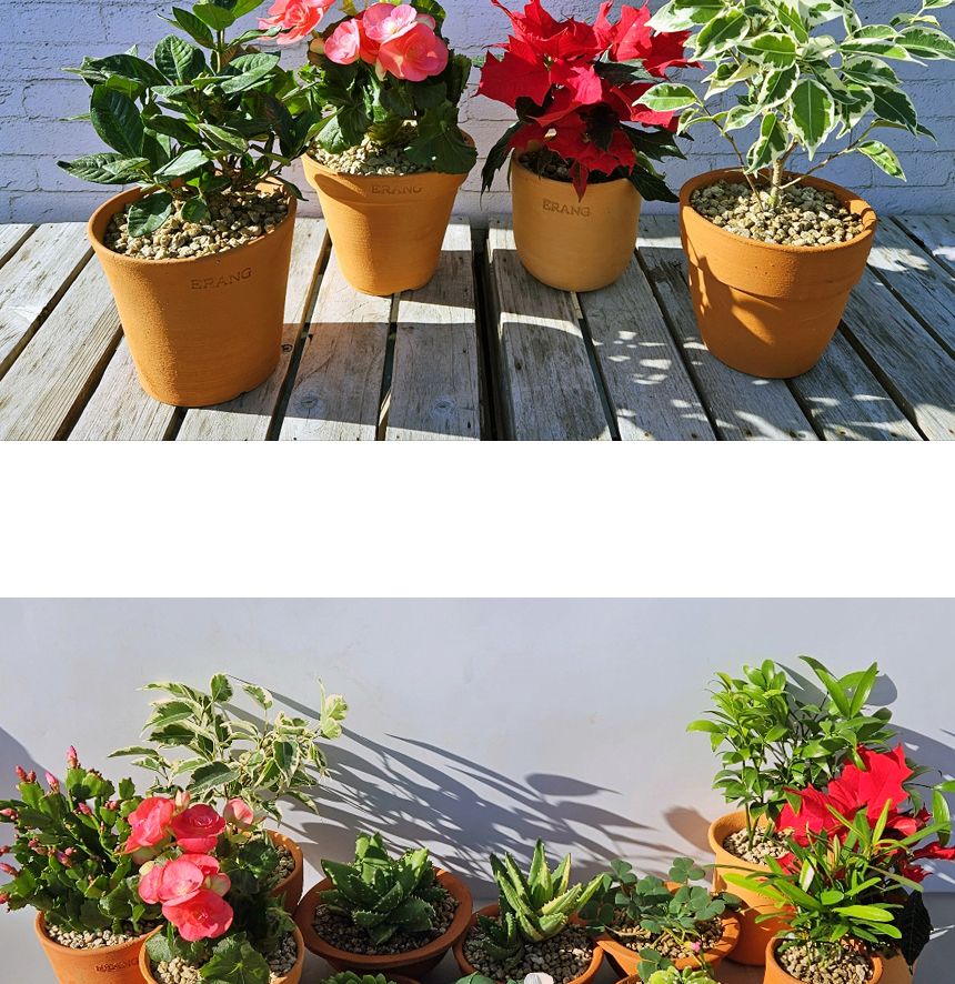 이랑국내산 수제 토분 B19- 수공예 공기정화식물화분/화분/토분/빈티지화분/빈티지토분/식물화분/꽃화분/베