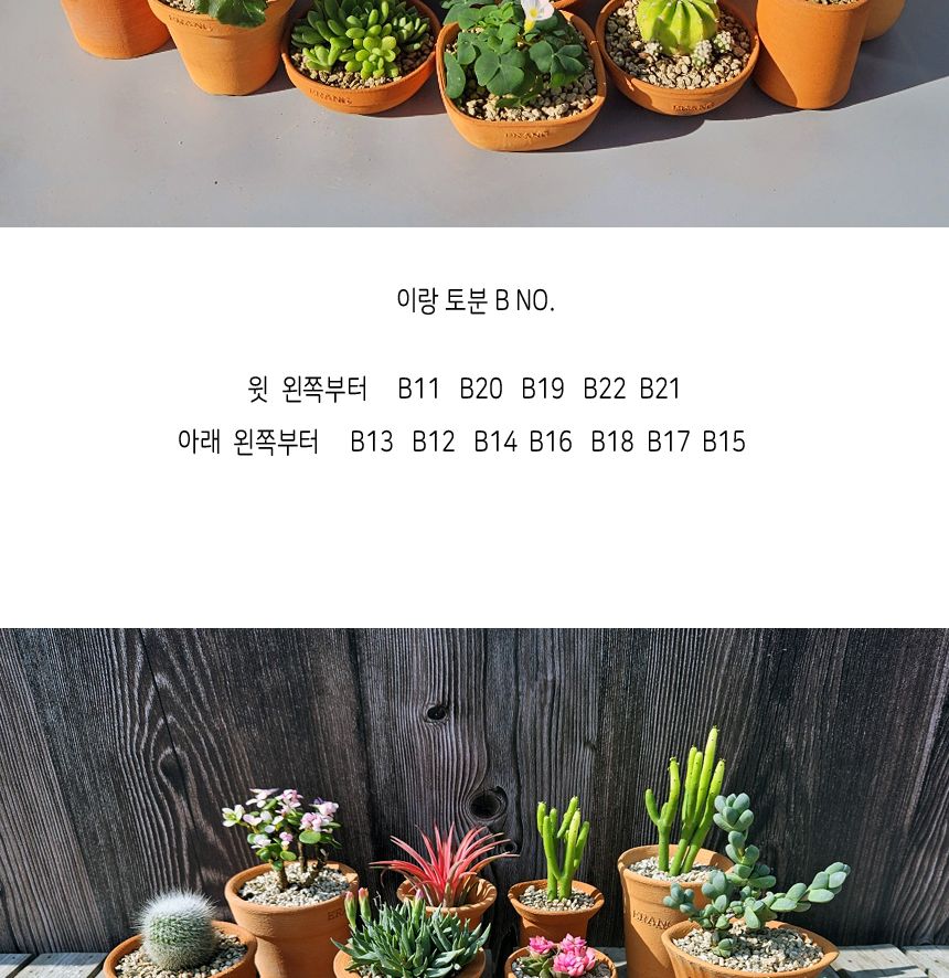 이랑국내산 수제 토분 B19- 수공예 공기정화식물화분/화분/토분/빈티지화분/빈티지토분/식물화분/꽃화분/베