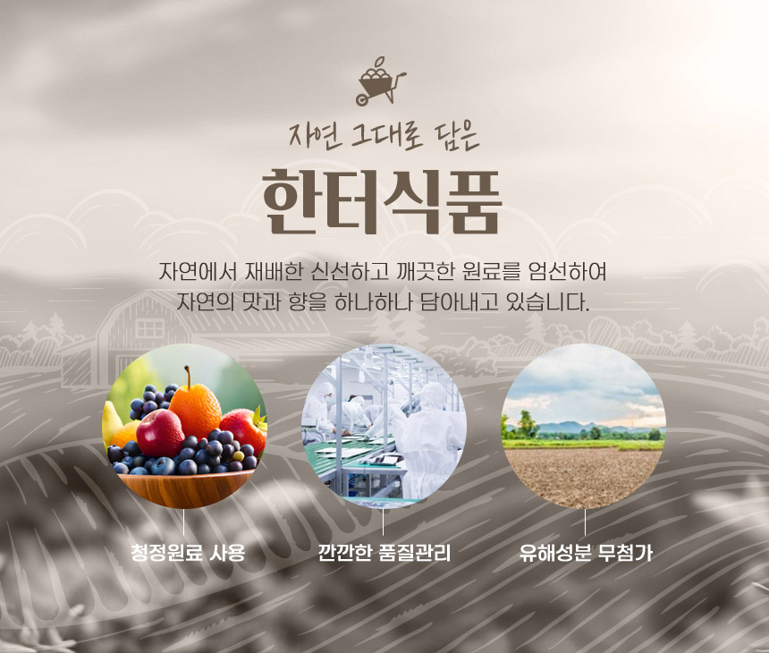 국내산 수제 꿀생강차. 250g/꿀생강차/생강차/생강음료/생강차음료/차음료/액상차/생강/생강청/차류/생강청
