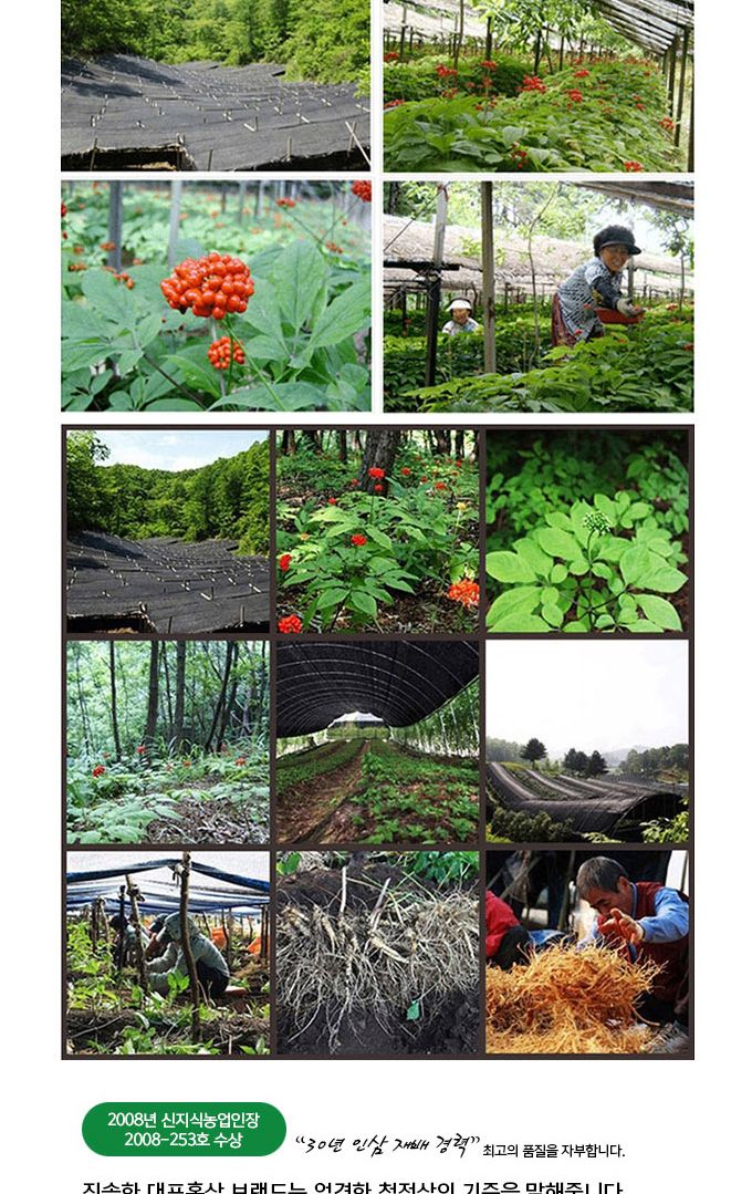 CI 홍삼타령 80ml x 30포 - 홍삼음료/홍삼/홈삼세트/홍삼액기스/홍삼파우치/홍삼선물세트/홍삼원세트/홍삼