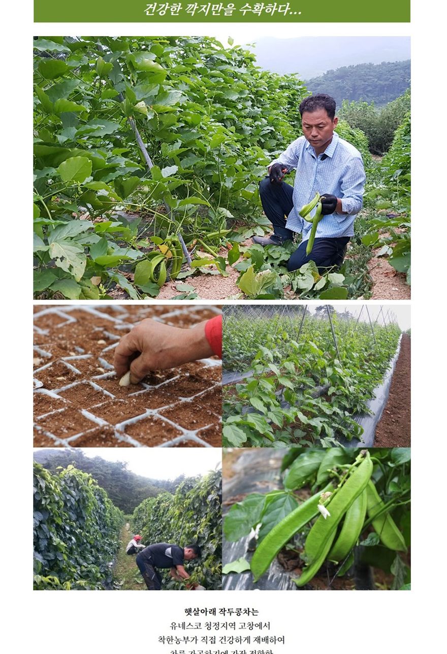 햇살아래 작두콩차 티백 25g/작두콩차/티백작두콩차/작두콩차티백/후식차/디저트차/다과차/티백차/티백음료