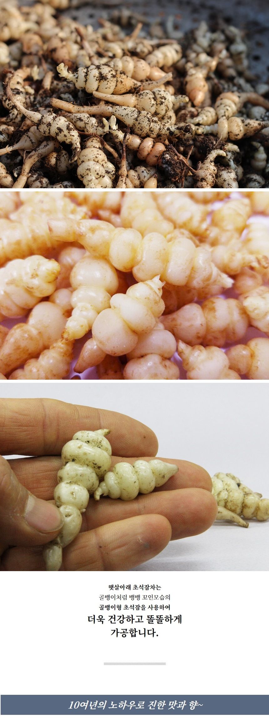 햇살아래 초석잠차 80g/초석잠차/말린초석잠차/건초석잠차/후식차/디저트차/다과차/초석잠음료/우려내는차/