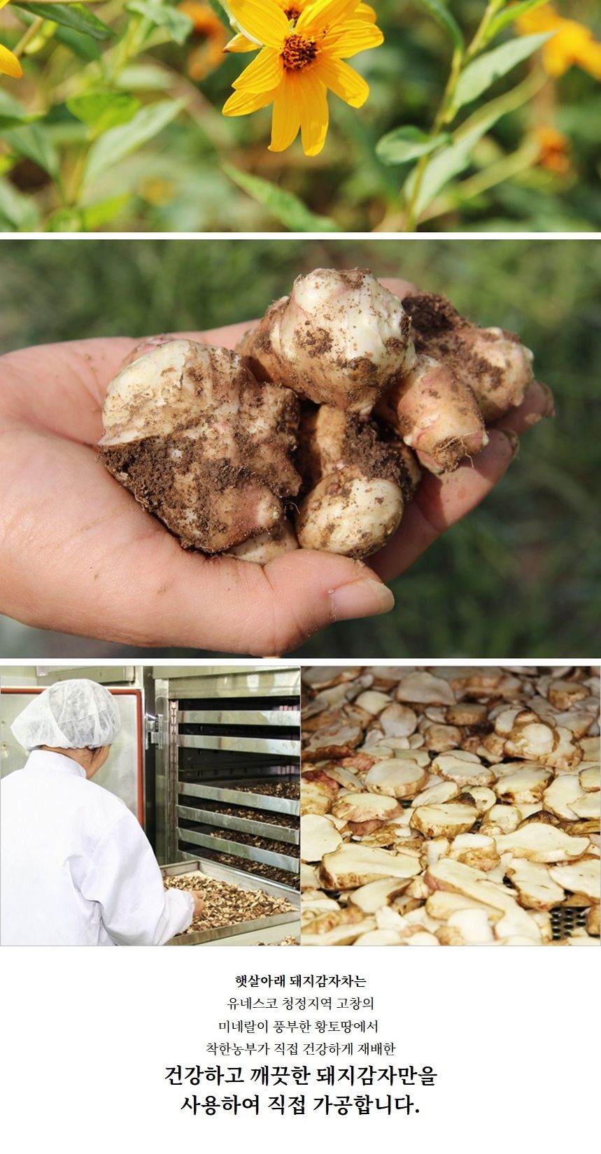 햇살아래 돼지감자차 100g/돼지감자차/말린돼지감자차/건돼지감자차/후식차/디저트차/다과차/돼지감자음료/