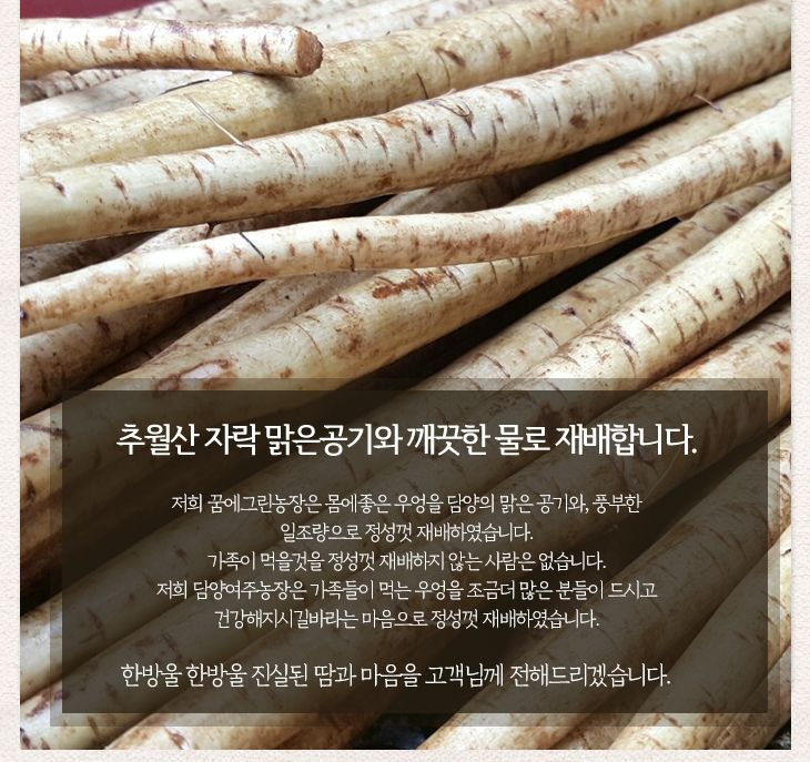 우엉차/우엉차음료/우엉볶은차/차음료/볶은우엉차/우엉/음료/우엉티/볶은우엉티/차