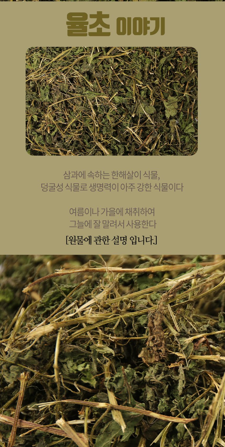 말린율초/율초차/한삼덩굴차/건조율초/건율초/마른율초/한삼덩굴/환삼덩굴/환삼덩굴차/율초