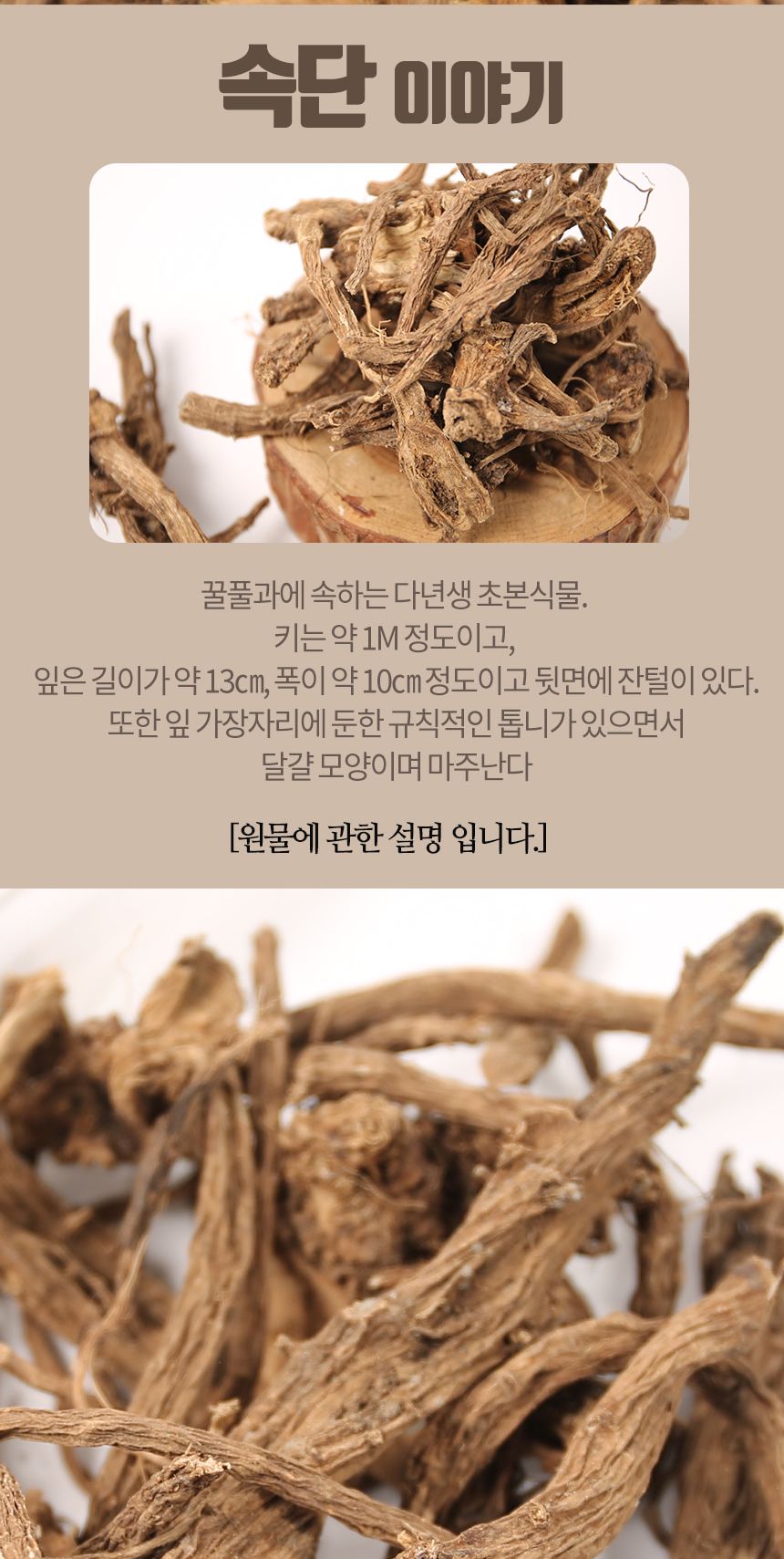 엄마애손 속단 300g/차류/차/속단/속단차/속단티/건조속단/말린속단/마른속단/열풍건조속단/속단원물
