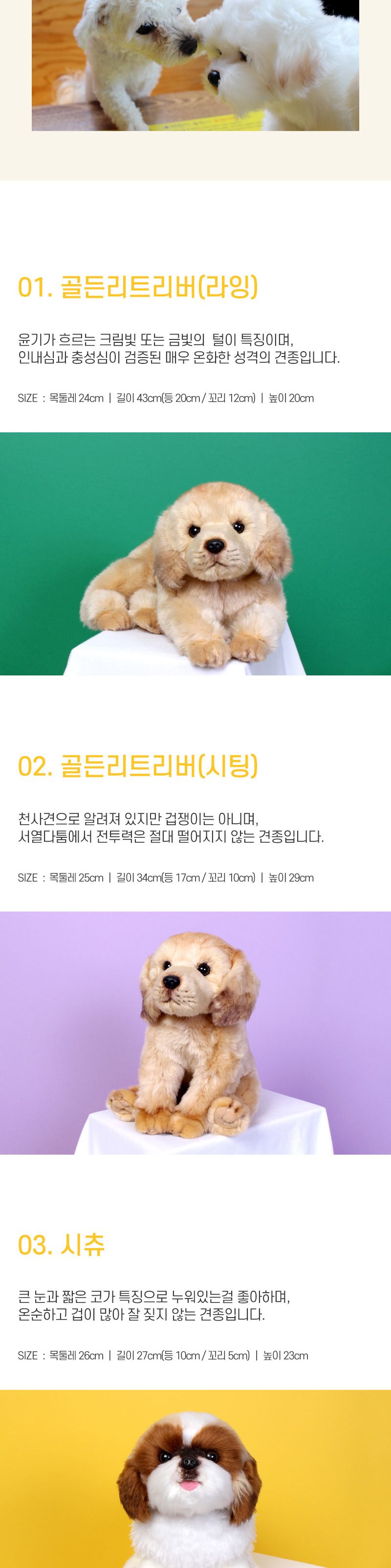 위더펫 리얼 고양이 인형 페르시안 친칠라-브라운/인형/캐릭터인형/인형선물/귀여운인형/귀여운캐릭터인형/