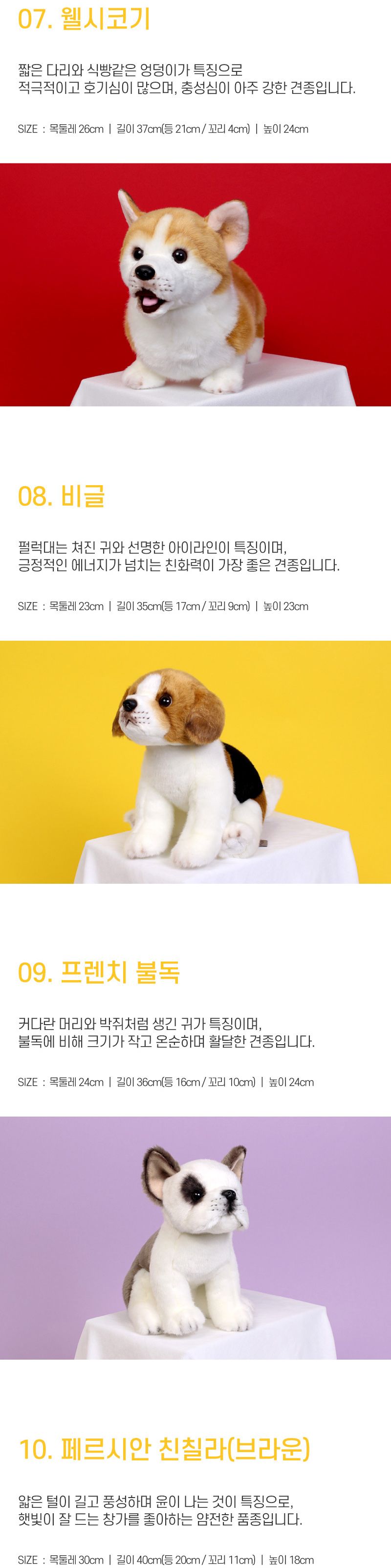 위더펫 리얼 고양이 인형 페르시안 친칠라-브라운/인형/캐릭터인형/인형선물/귀여운인형/귀여운캐릭터인형/