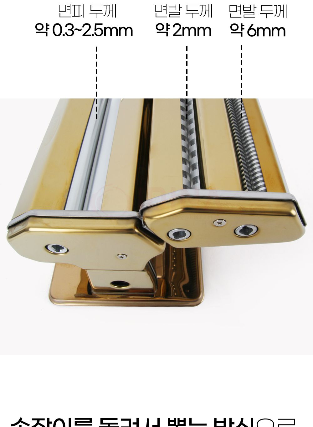 슐레 파스타 제면기 QF-180 (CG87391)/제면기/국수제면기/면제면기/스파게티제면기/요리용제면기/조리용제