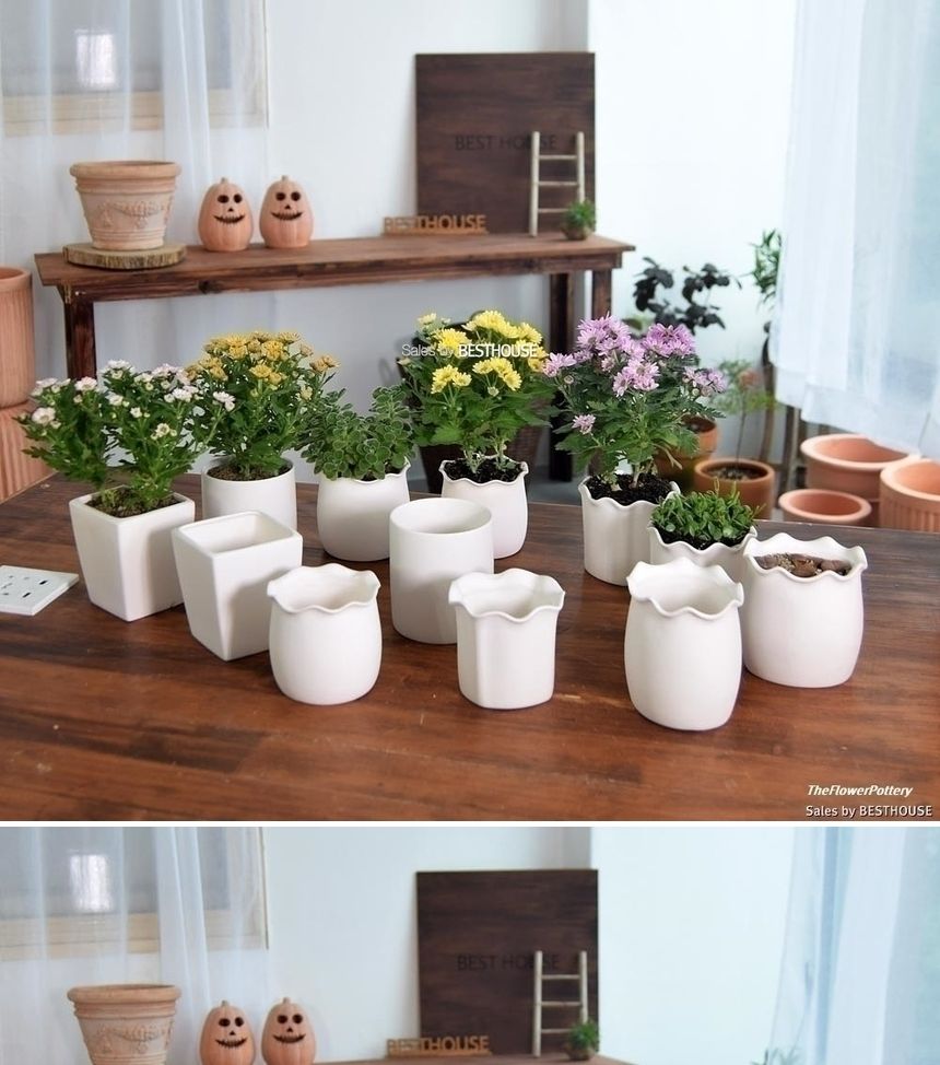 더플라워포터리 고강도 화이트 토분 사각형8x10cm/화분/흙화분/토분/예쁜화분/디자인화분/인테리어화분/인